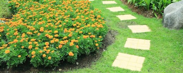 jardin aménagé avec un parcours