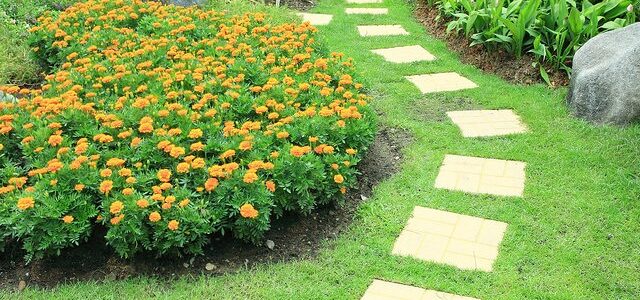 jardin aménagé avec un parcours