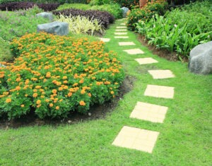 jardin aménagé avec un parcours